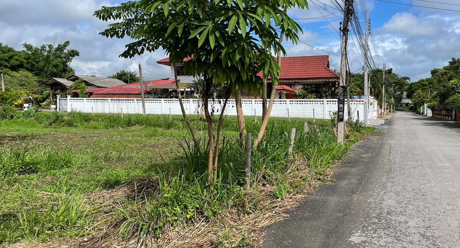 For sale land in Mae Rim, Chiang Mai