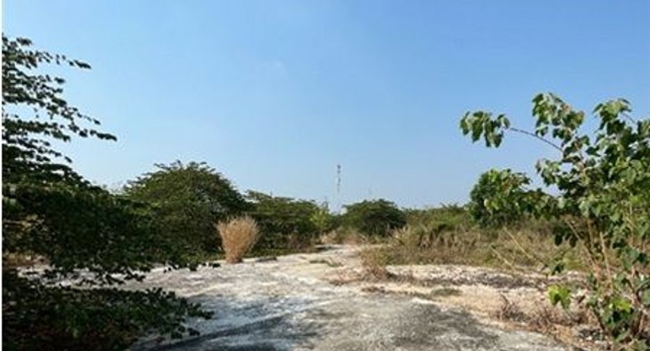 出售 土地 在 Pho Thong, Ang Thong