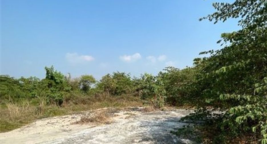 出售 土地 在 Pho Thong, Ang Thong