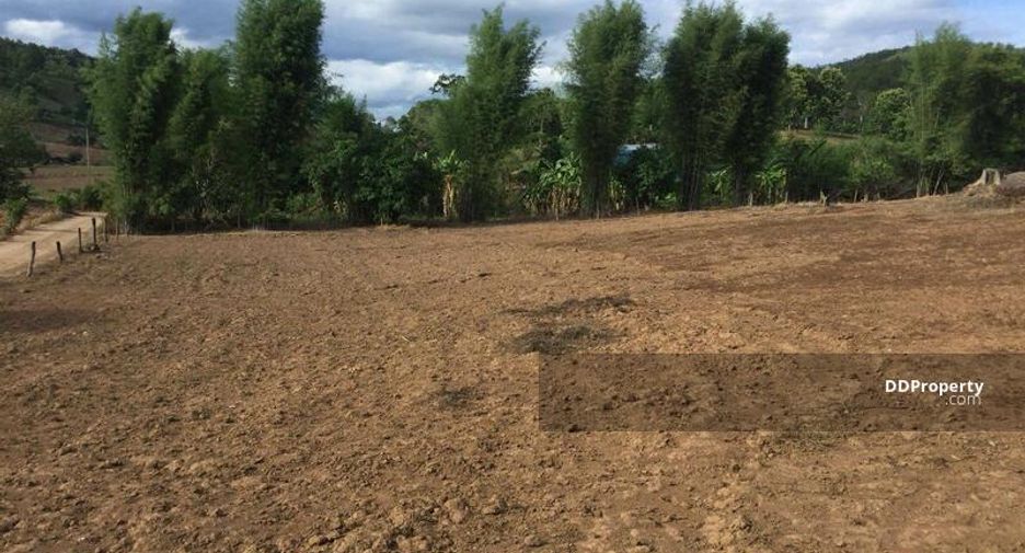 For sale land in Pai, Mae Hong Son
