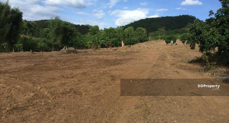 For sale land in Pai, Mae Hong Son