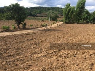 For sale land in Pai, Mae Hong Son
