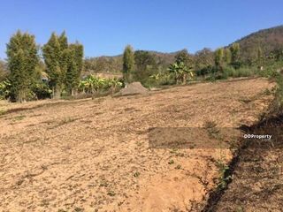 For sale land in Pai, Mae Hong Son