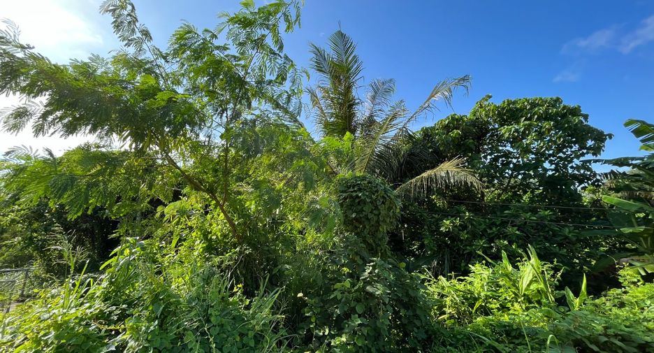 For sale land in Thalang, Phuket