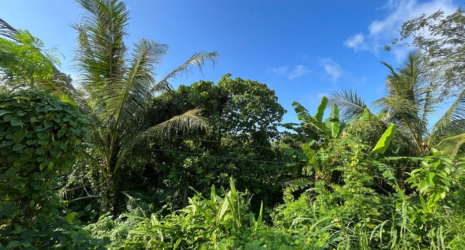 For sale land in Thalang, Phuket