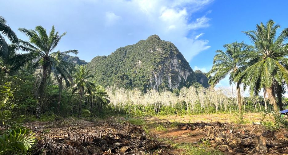 À vendre terrain à Mueang Krabi, Krabi