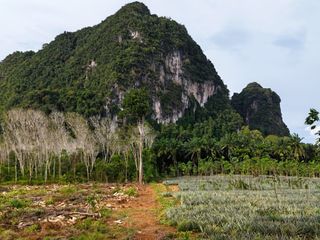 Grundstück zum Kauf in Mueang Krabi, Krabi