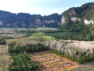 Grundstück zum Kauf in Mueang Krabi, Krabi
