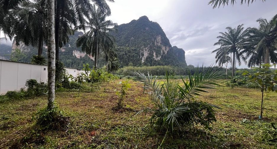Grundstück zum Kauf in Mueang Krabi, Krabi