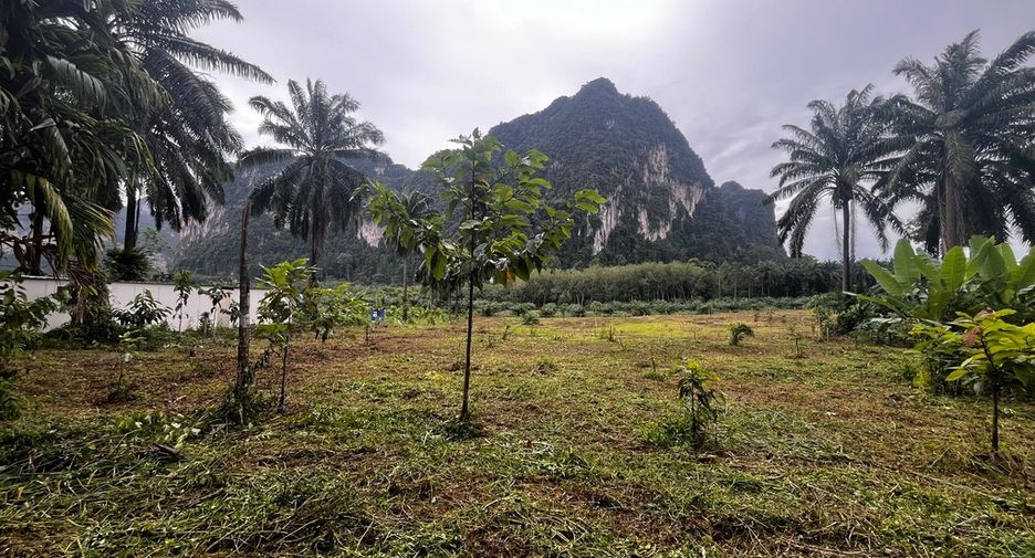 Grundstück zum Kauf in Mueang Krabi, Krabi