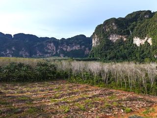 Grundstück zum Kauf in Mueang Krabi, Krabi