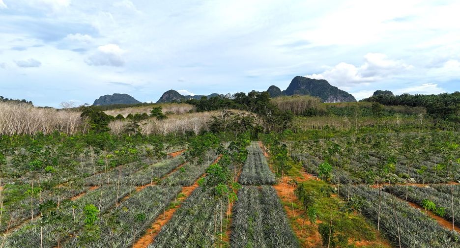 À vendre terrain à Mueang Krabi, Krabi