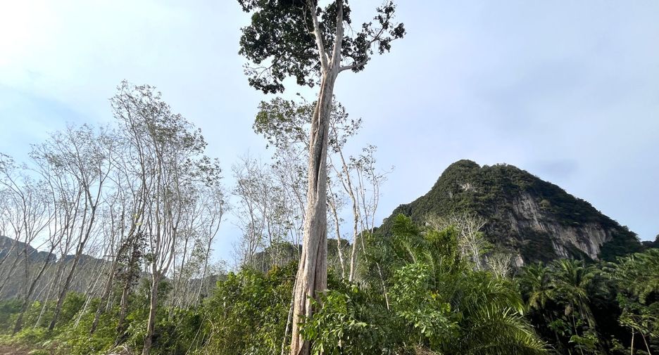 À vendre terrain à Mueang Krabi, Krabi