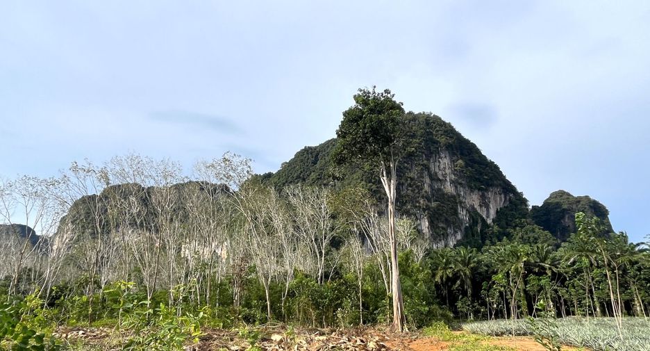 À vendre terrain à Mueang Krabi, Krabi