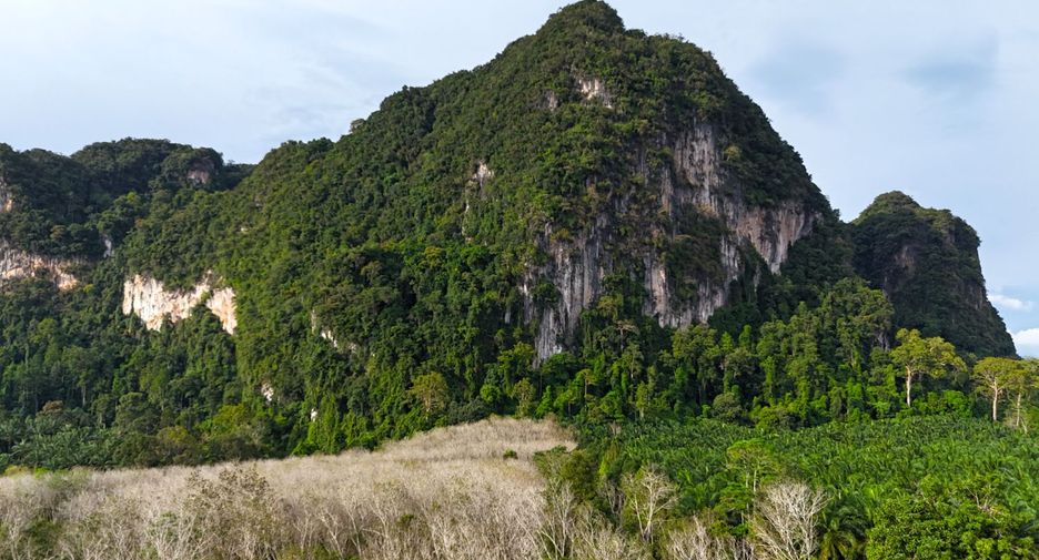 À vendre terrain à Mueang Krabi, Krabi
