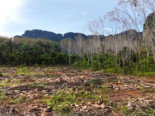 Grundstück zum Kauf in Mueang Krabi, Krabi