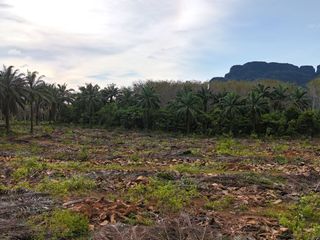 Grundstück zum Kauf in Mueang Krabi, Krabi