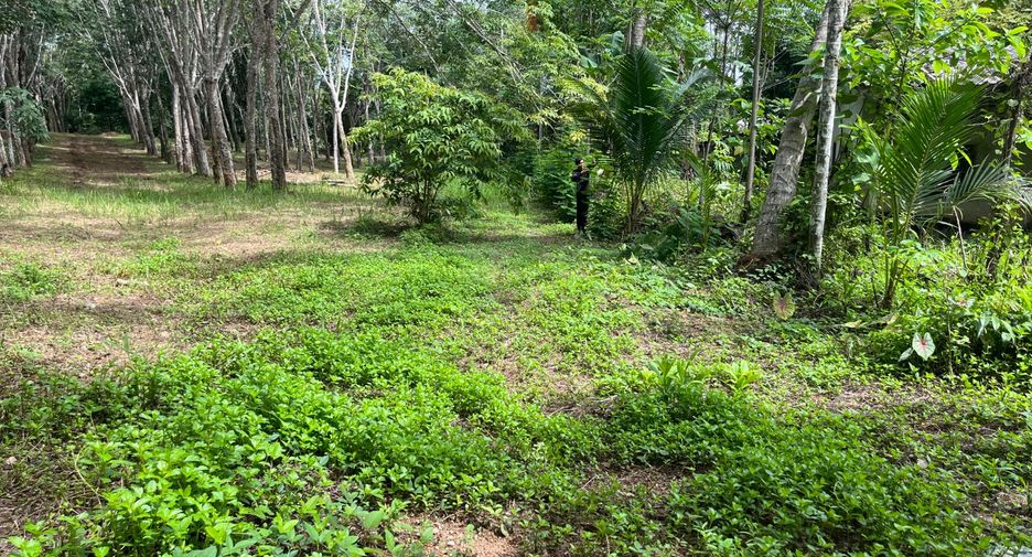 À vendre terrain à Takua Thung, Phang Nga