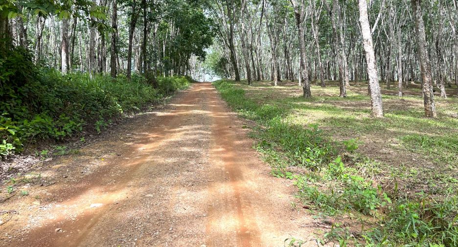 À vendre terrain à Takua Thung, Phang Nga