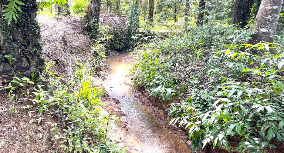 À vendre terrain à Takua Thung, Phang Nga