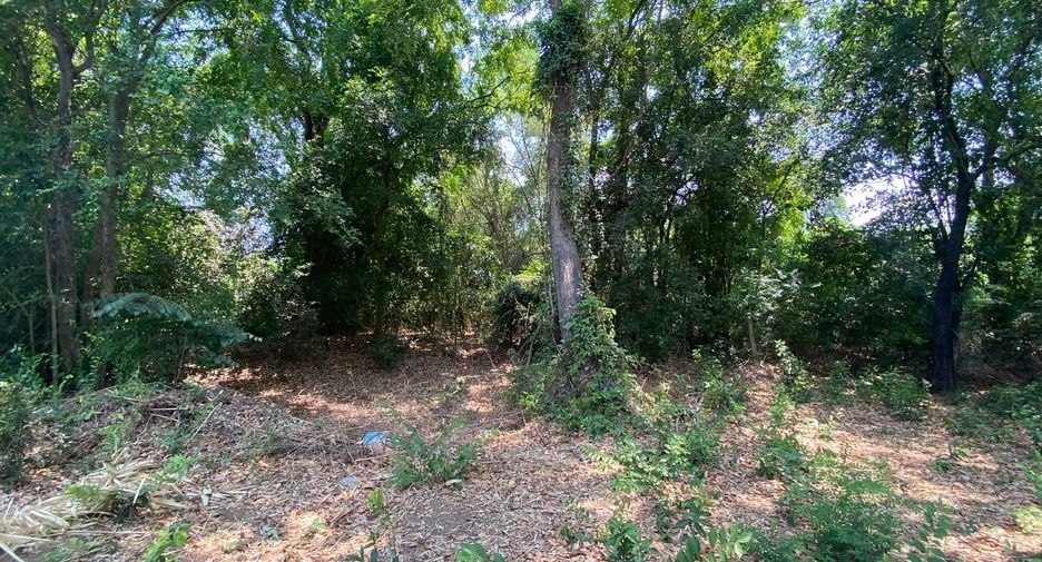 For sale land in Doem Bang Nang Buat, Suphan Buri