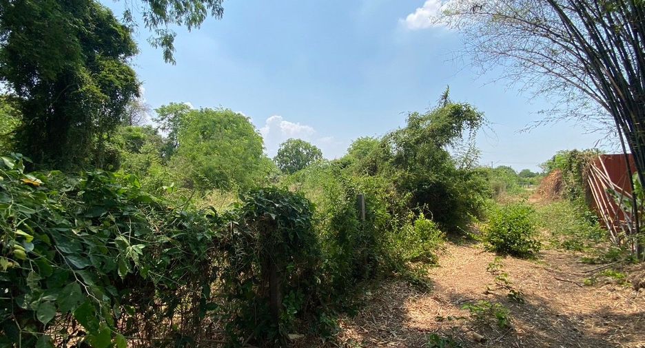 For sale land in Doem Bang Nang Buat, Suphan Buri