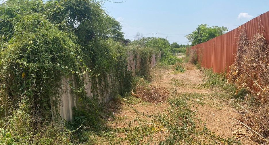 For sale land in Doem Bang Nang Buat, Suphan Buri