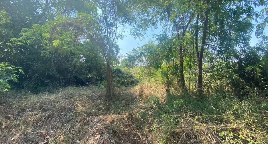 For sale land in Doem Bang Nang Buat, Suphan Buri