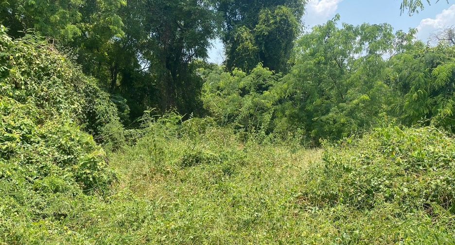 For sale land in Doem Bang Nang Buat, Suphan Buri