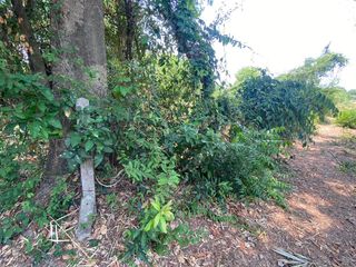 For sale land in Doem Bang Nang Buat, Suphan Buri