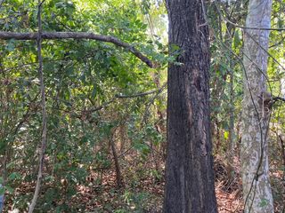 For sale land in Doem Bang Nang Buat, Suphan Buri