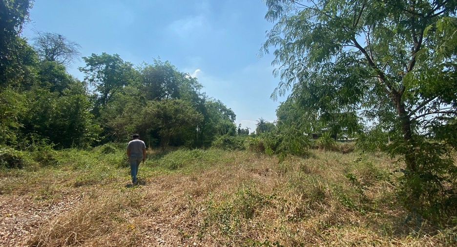 For sale land in Doem Bang Nang Buat, Suphan Buri