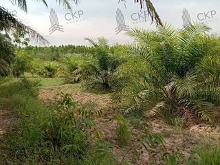 For sale land in Sanam Chai Khet, Chachoengsao