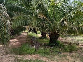 For sale land in Sanam Chai Khet, Chachoengsao
