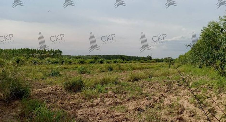 For sale land in Sanam Chai Khet, Chachoengsao