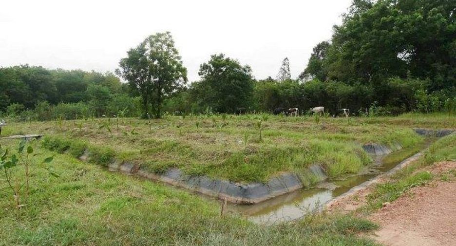 For sale land in Lam Sonthi, Lopburi
