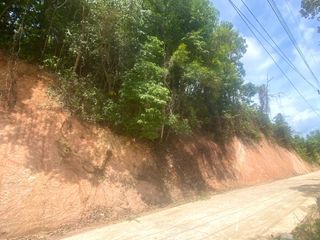 For sale land in Thalang, Phuket