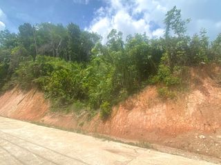 For sale land in Thalang, Phuket