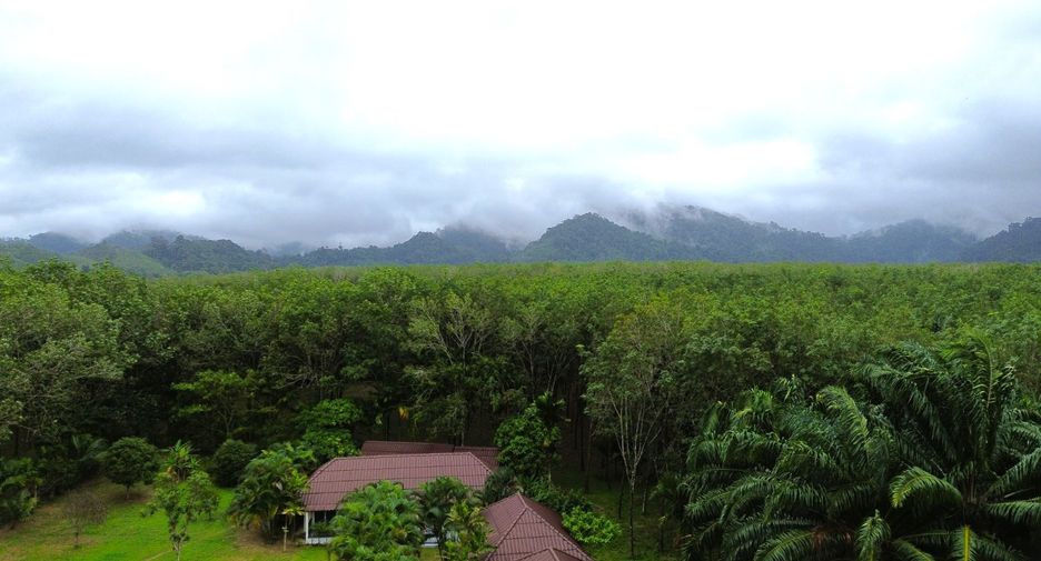 For sale 7 Beds retail Space in Takua Pa, Phang Nga