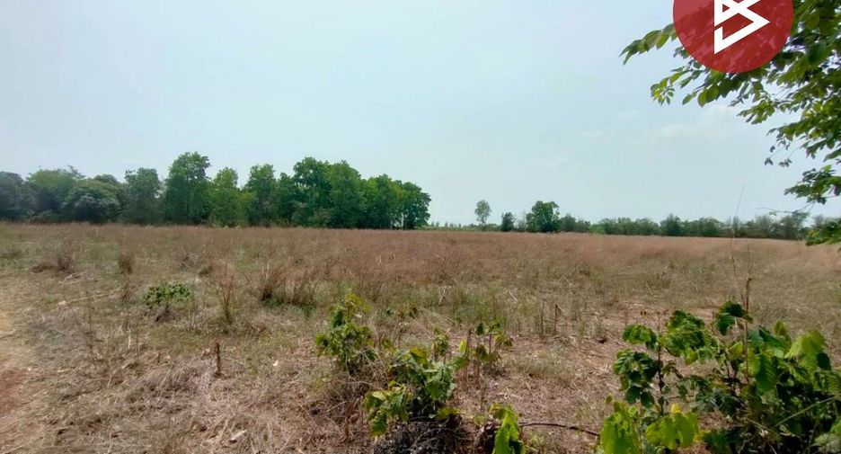 For sale land in Si Mahosot, Prachin Buri