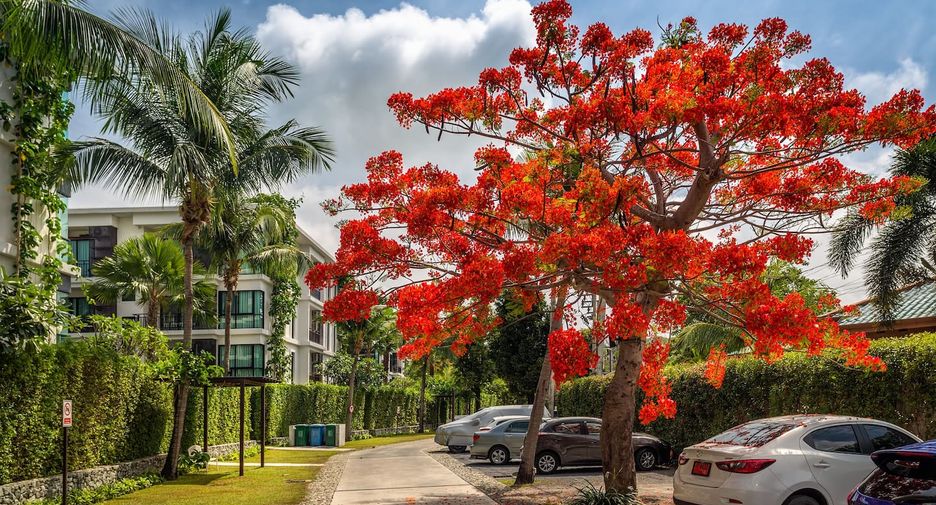 For sale 2 bedrooms condo in Mueang Phuket, Phuket