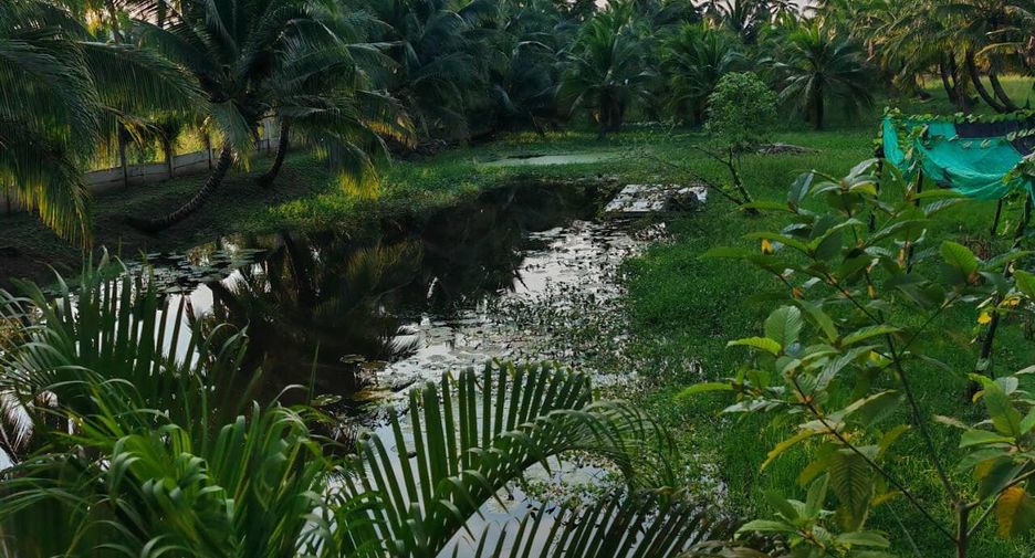For sale warehouse in Damnoen Saduak, Ratchaburi