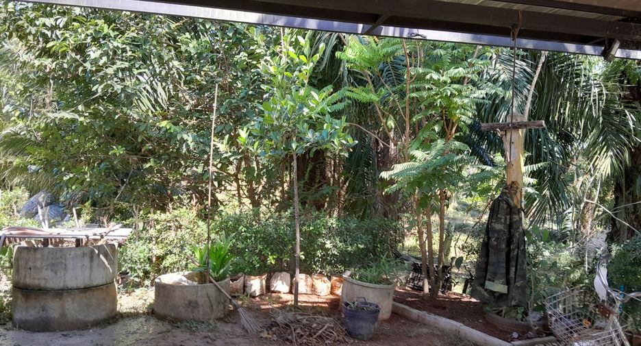 For sale 3 bed house in Phato, Chumphon