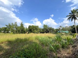出售 土地 在 Thai Mueang, Phangnga