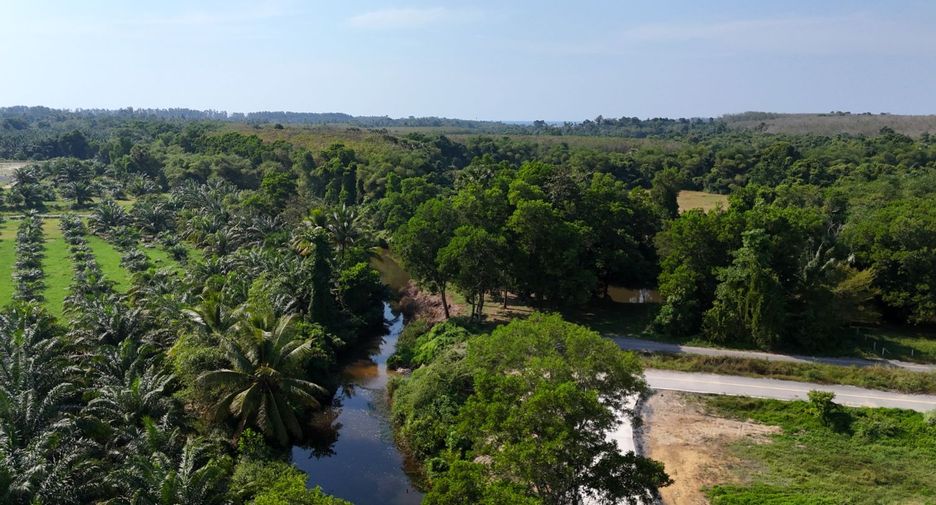 出售 土地 在 Thai Mueang, Phangnga
