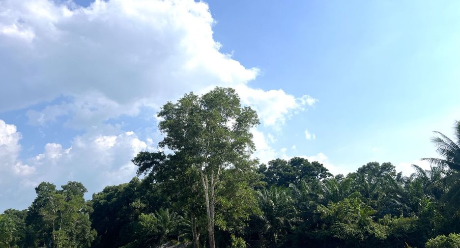 出售 土地 在 Thai Mueang, Phangnga