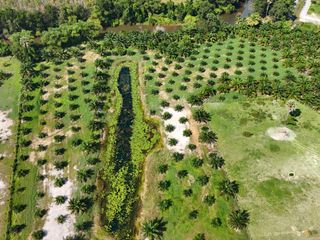 For sale land in Thai Mueang, Phang Nga