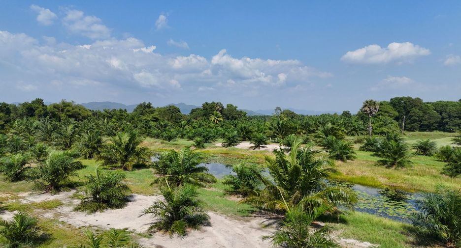 出售 土地 在 Thai Mueang, Phangnga