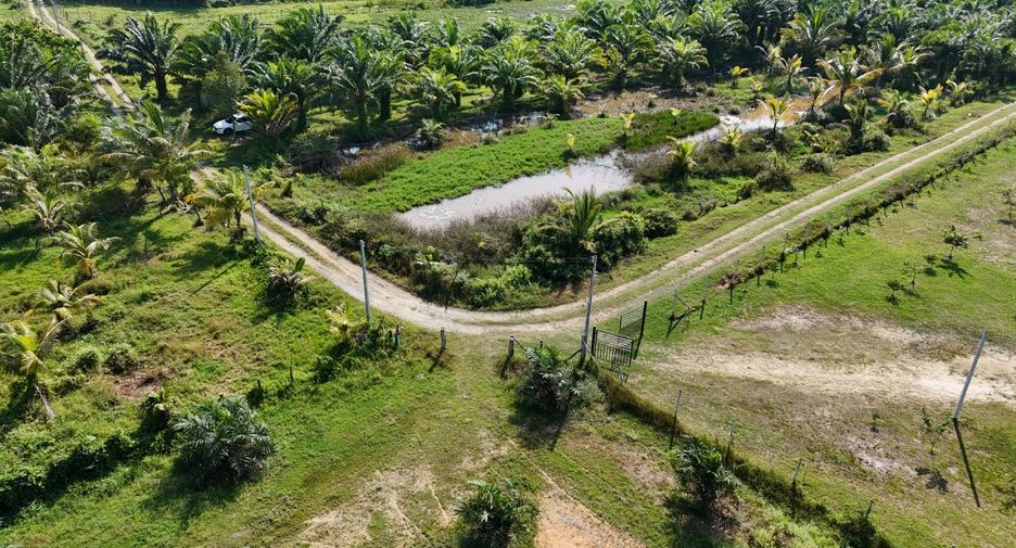 出售 土地 在 Thai Mueang, Phangnga