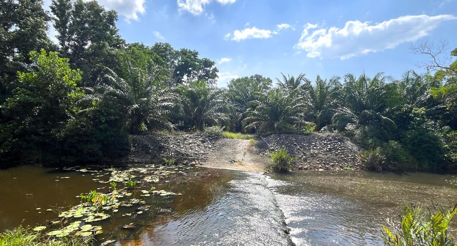出售 土地 在 Thai Mueang, Phangnga